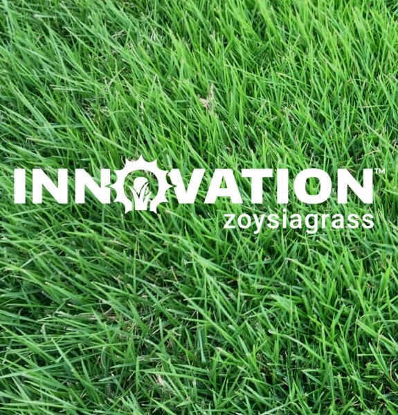 innovation_product_2
